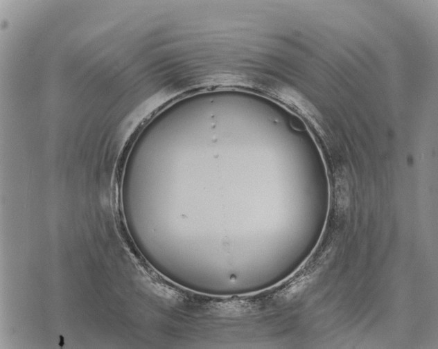 X0000073451125200608111343