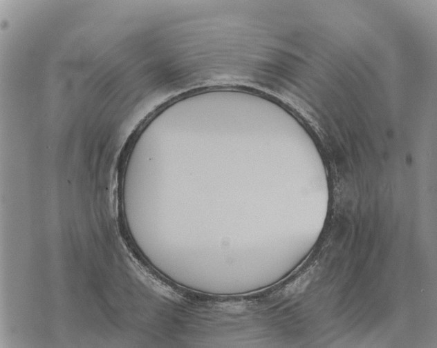 X0000073451126200608111343