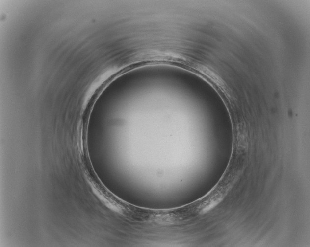 X0000073451128200608111343