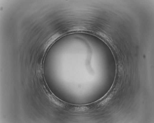 X0000073451129200608111343