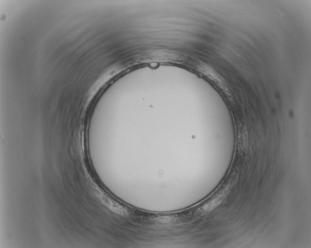 X0000073451130200608111343