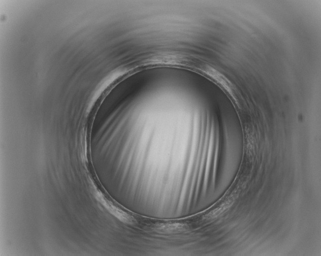 X0000073451131200608111343