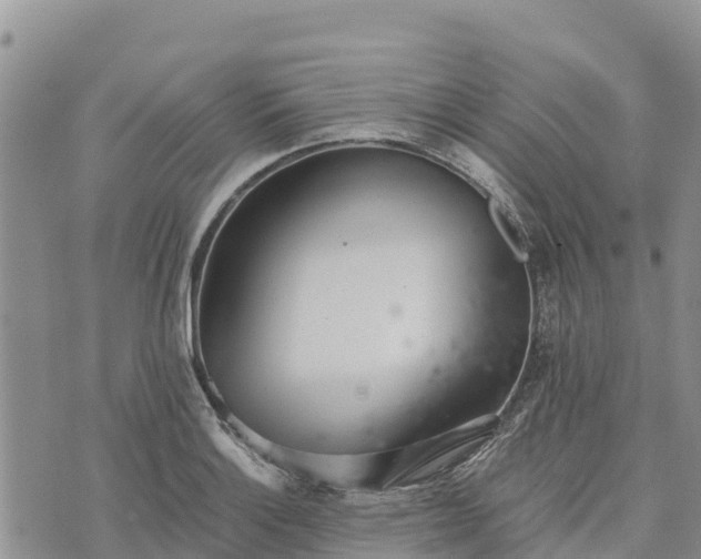 X0000073451132200608111343