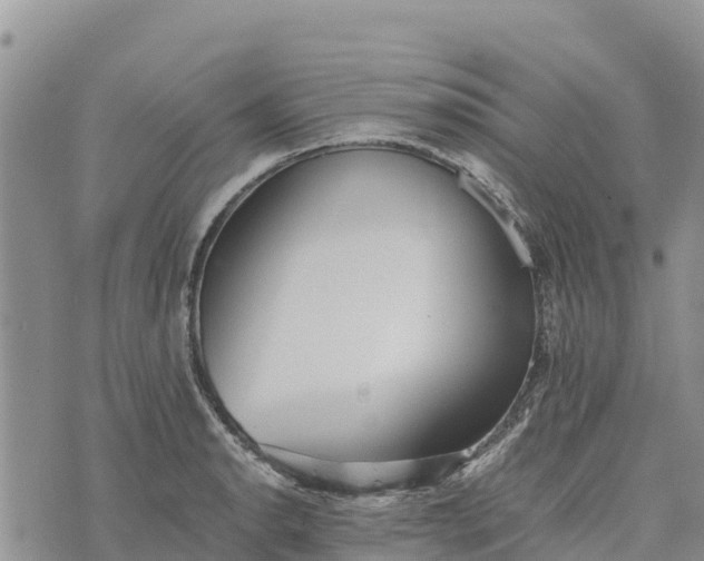 X0000073451134200608111343