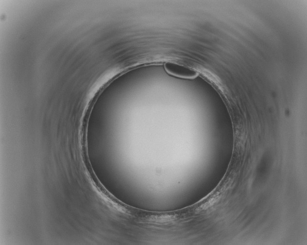 X0000073451135200608111343