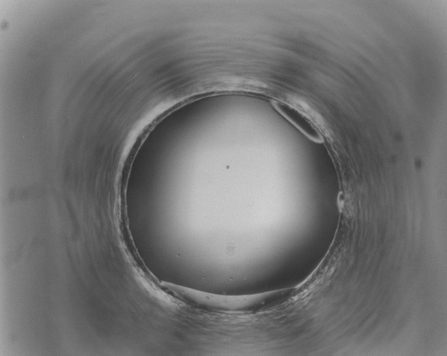 X0000073451136200608111343