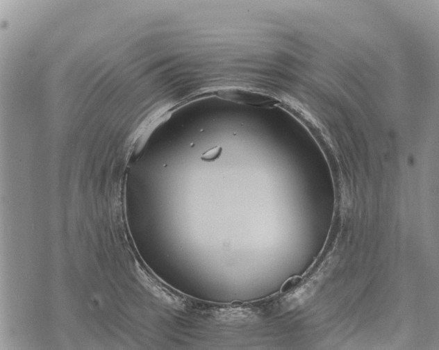 X0000073451137200608111344