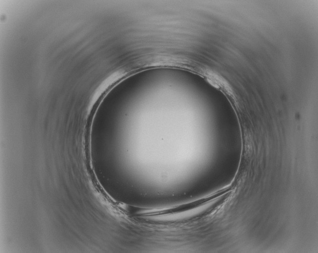 X0000073451138200608111344