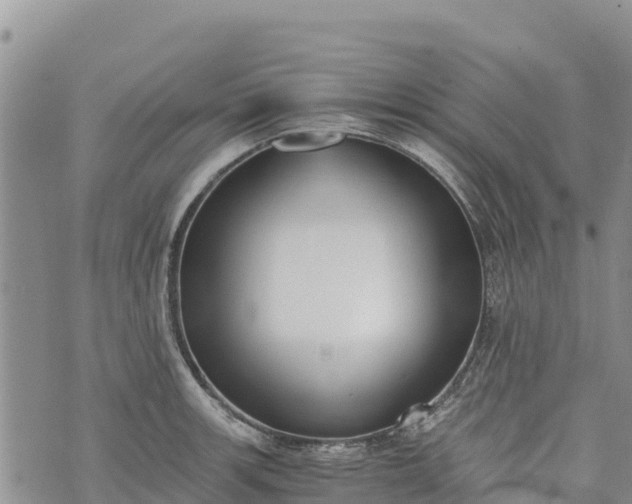 X0000073451139200608111344