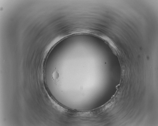 X0000073451143200608111344