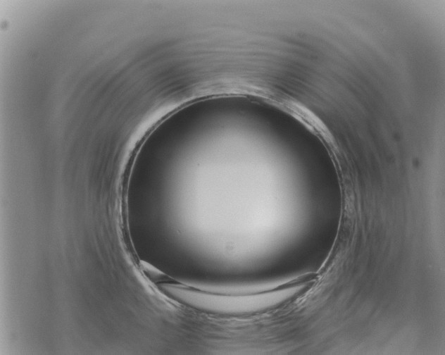 X0000073451144200608111344