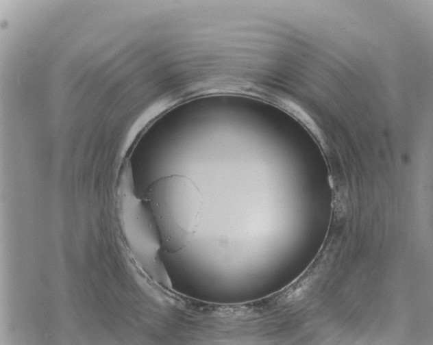 X0000073451146200608111344