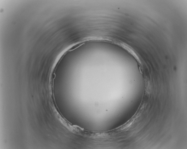 X0000073451148200608111344