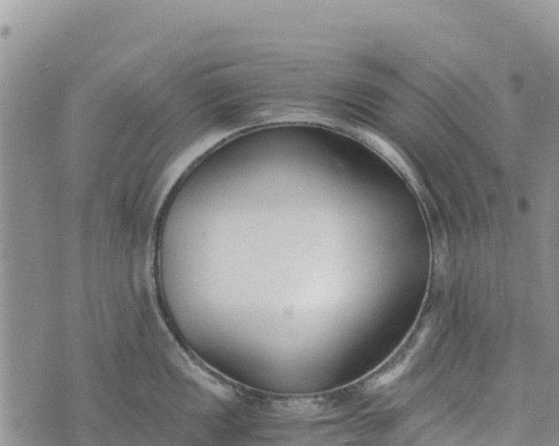 X0000073451149200608111344