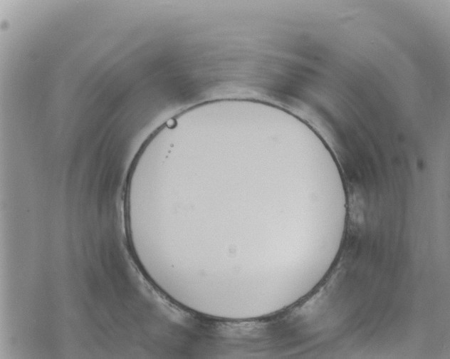 X0000073451150200608111344