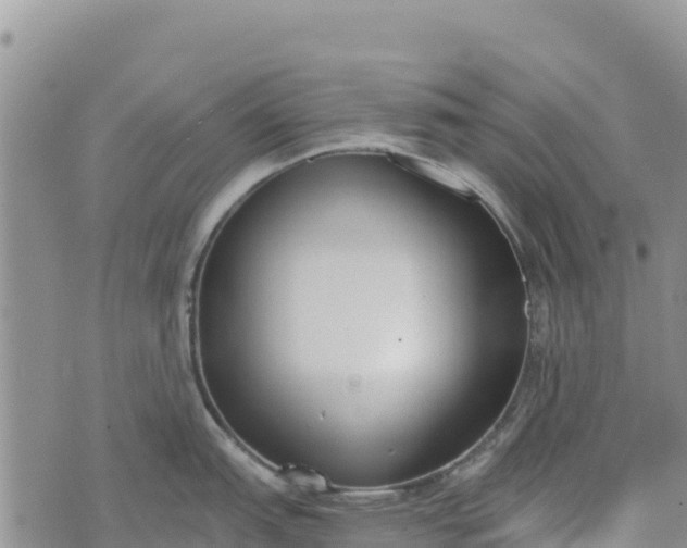 X0000073451151200608111344