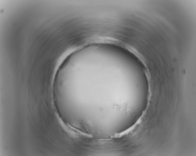 X0000073451152200608111344