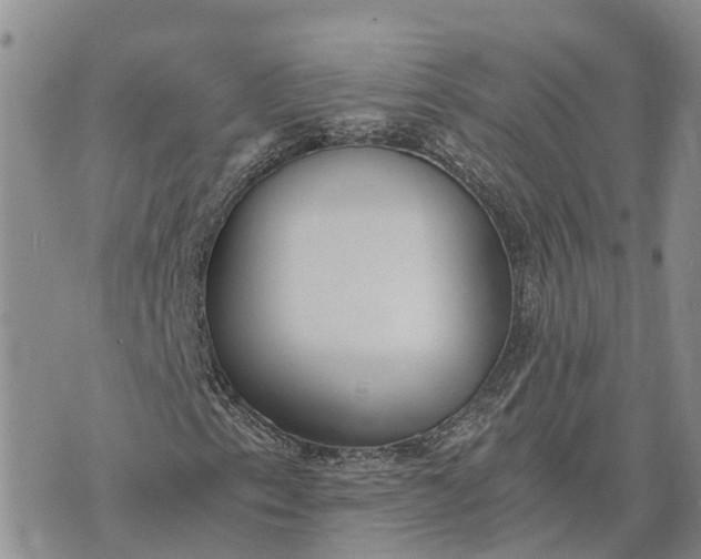 X0000073451153200608111343