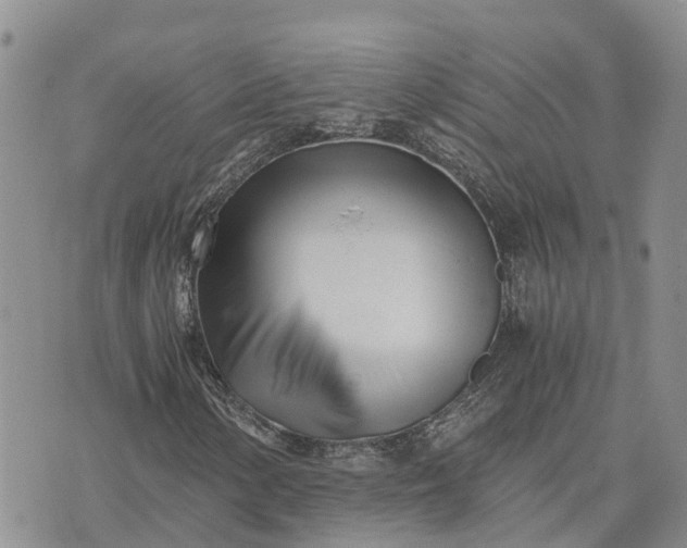 X0000073451154200608111343