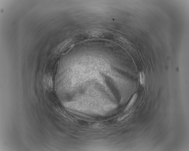 X0000073451155200608111343