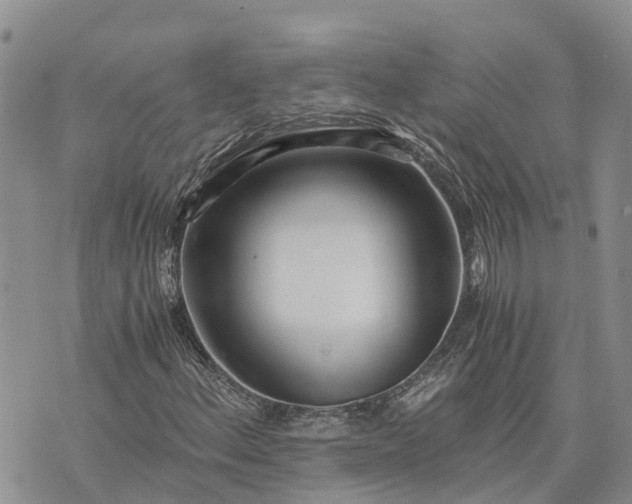 X0000073451156200608111343