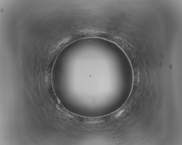 X0000073451157200608111343