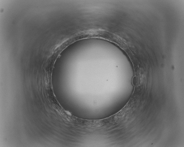 X0000073451158200608111343