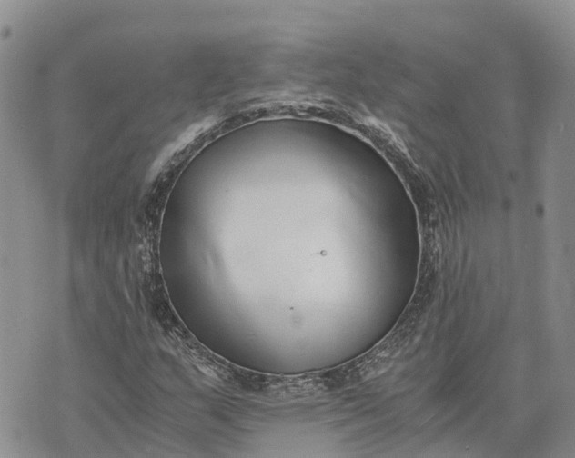 X0000073451159200608111343