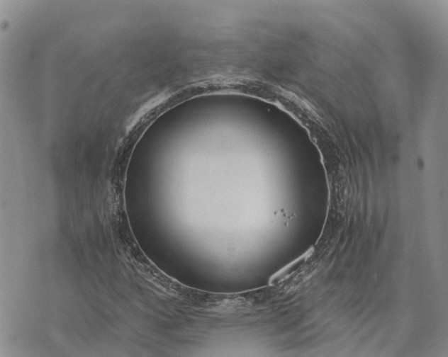 X0000073451160200608111343