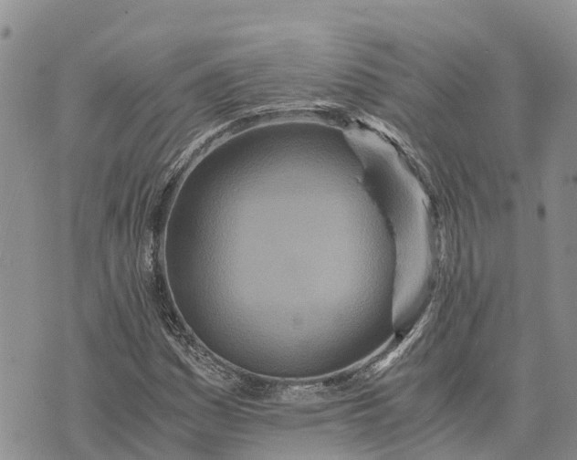 X0000073451161200608111343