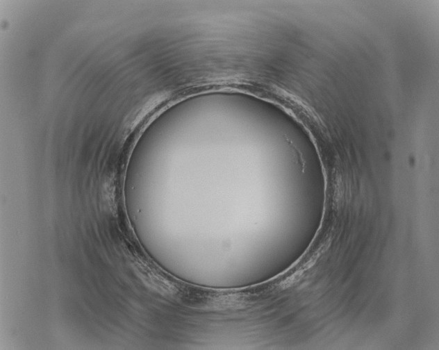 X0000073451162200608111343