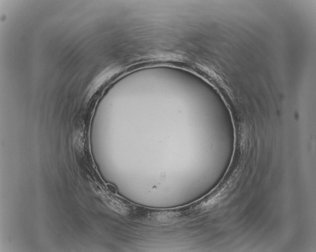 X0000073451163200608111343