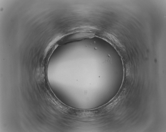 X0000073451164200608111343