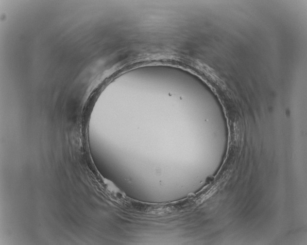 X0000073451165200608111343