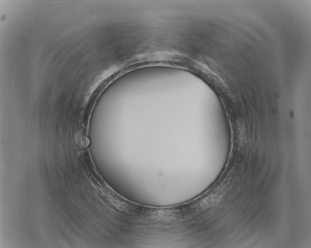 X0000073451166200608111343