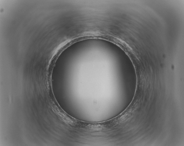 X0000073451168200608111343