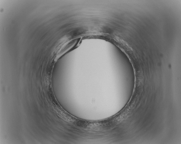 X0000073451169200608111343