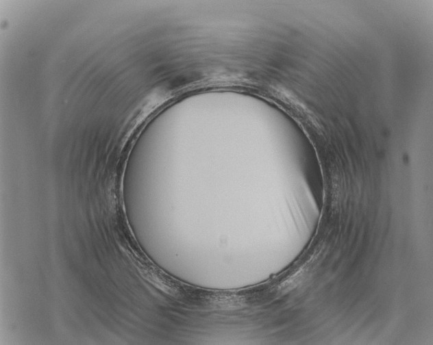 X0000073451170200608111343