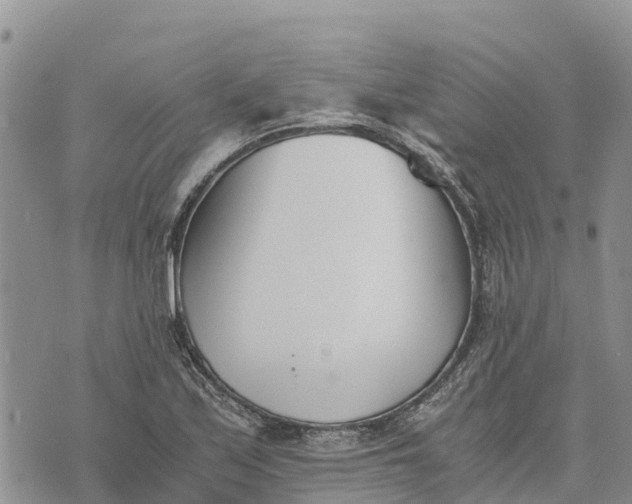 X0000073451171200608111343