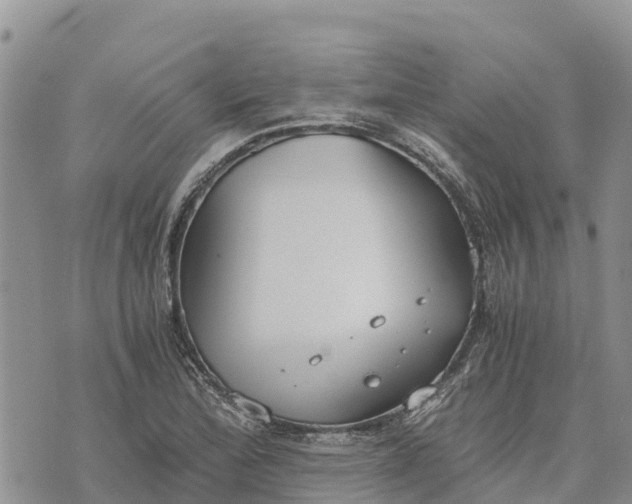 X0000073451172200608111343