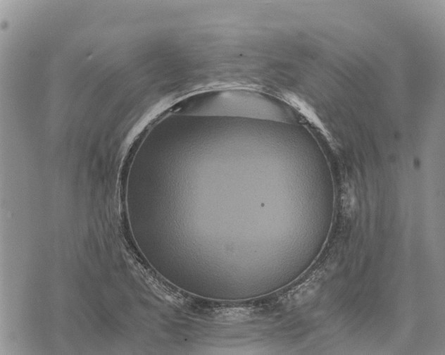 X0000073451173200608111343