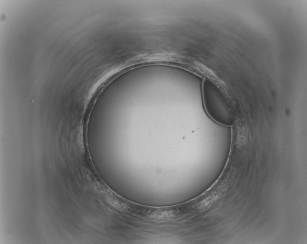 X0000073451174200608111343