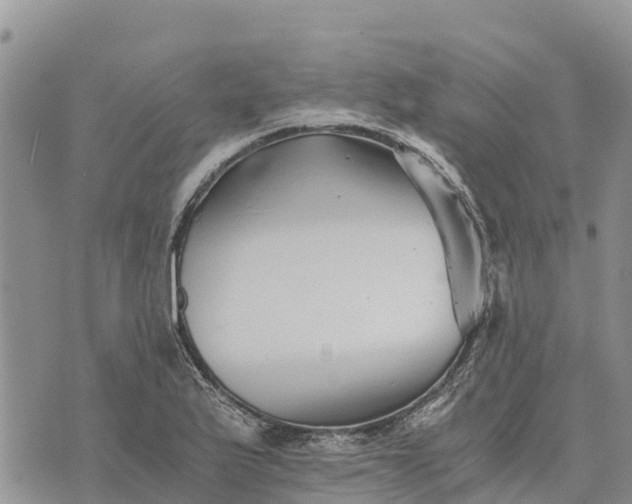 X0000073451175200608111343