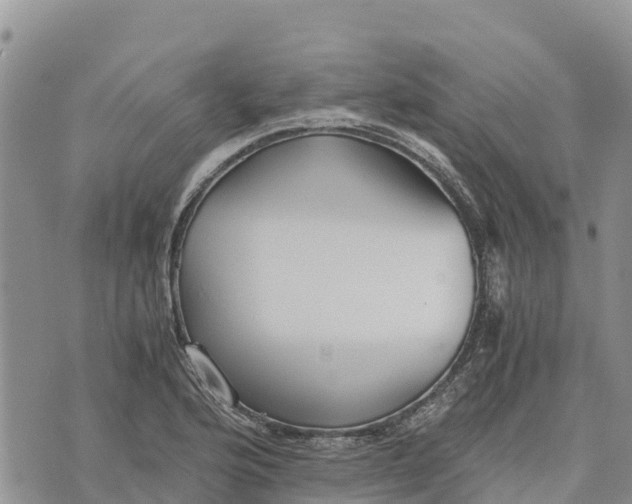 X0000073451176200608111343