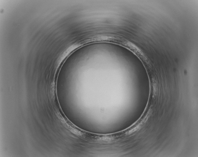 X0000073451178200608111343