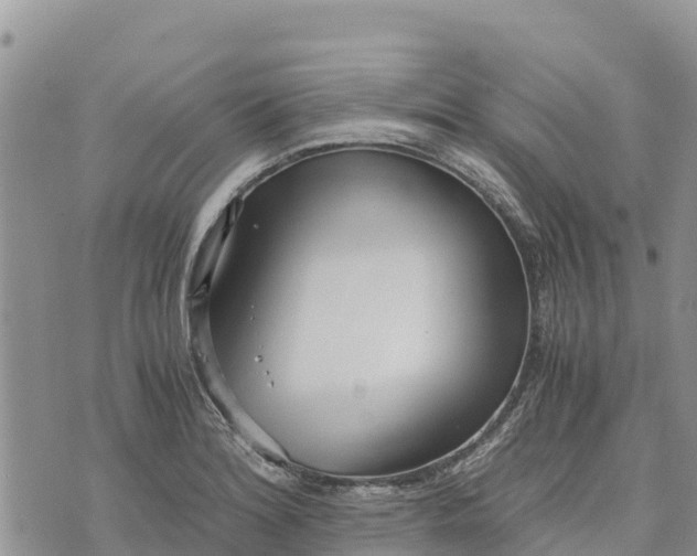 X0000073451180200608111343