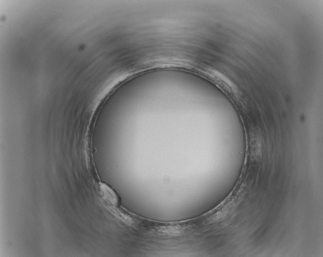 X0000073451182200608111342