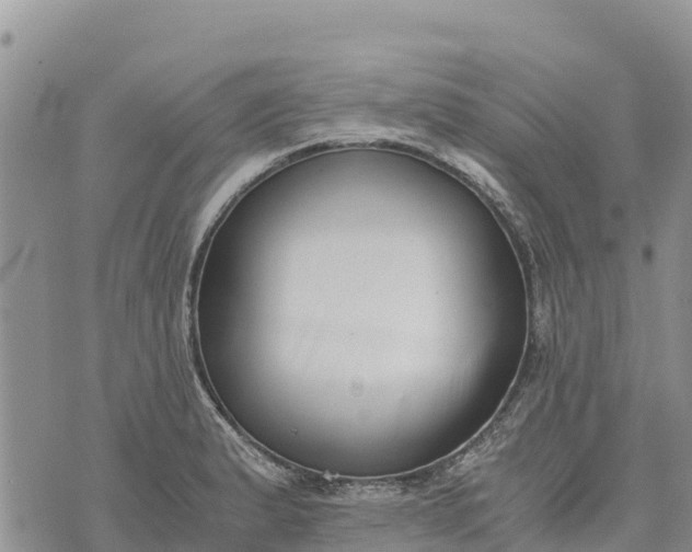 X0000073451183200608111342