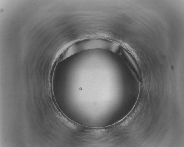 X0000073451184200608111342