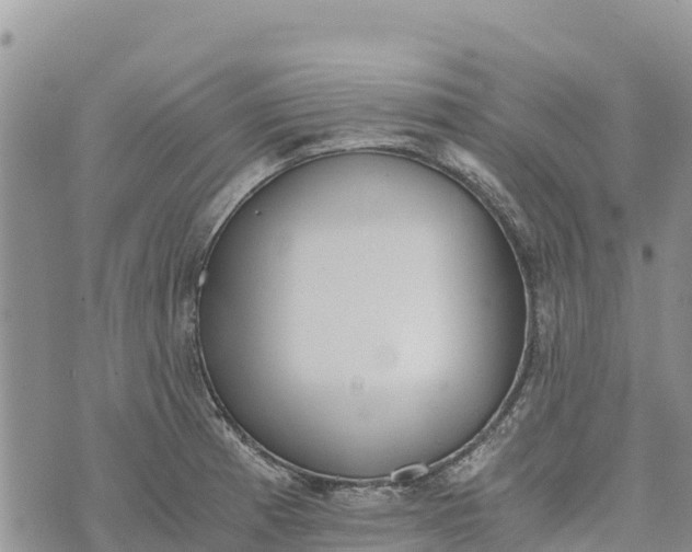 X0000073451185200608111342